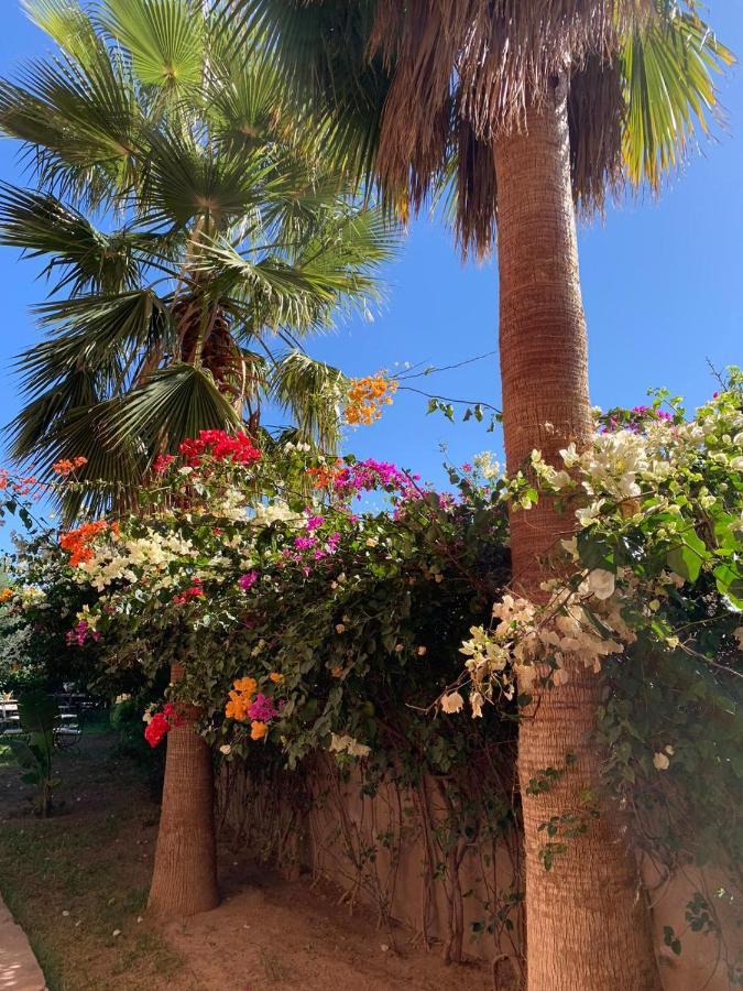 Les Terrasses Du Lac Marrakech Lalla Takerkoust Exteriér fotografie